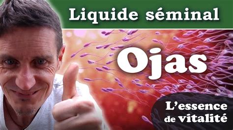 liquide séminal rôle|Qu’est